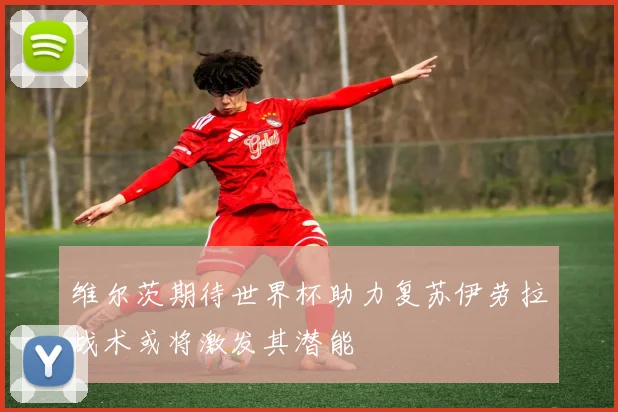 维尔茨期待世界杯助力复苏伊劳拉战术或将激发其潜能