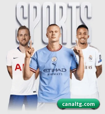 乐鱼在线登录入口 APP